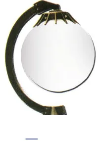 سرچراغ پارکی